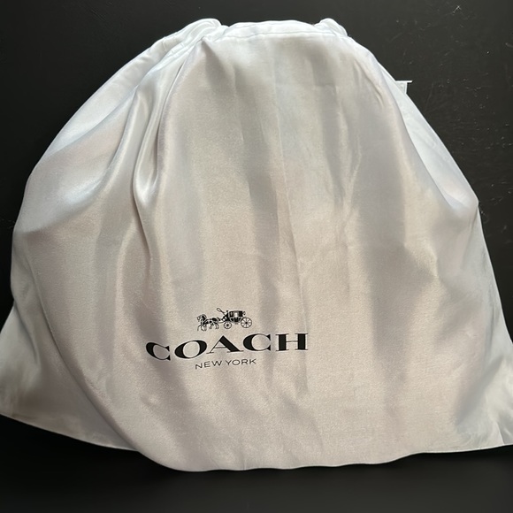 NWT Coach Fall Pumpkin Bag Orange Runway Leather Purse Zippered Case NYFW Handle - Picture 6 of 14